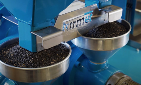 Seed to oil pressing machine - Biotech